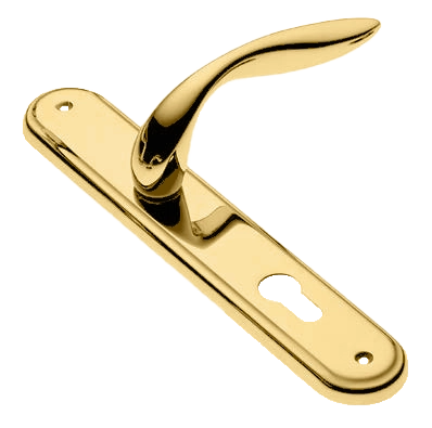 Ручка дверная на планке LEON PL OTL, цвет золото, латунь фото купить в Махачкале