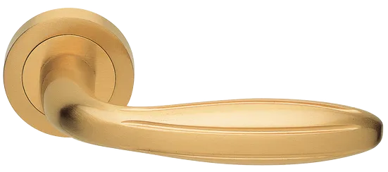BUD R2 OSA, ручка дверная, цвет - матовое золото фото купить Махачкала