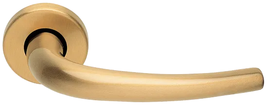 LILLA R3-E OSA, ручка дверная, цвет - матовое золото фото купить Махачкала