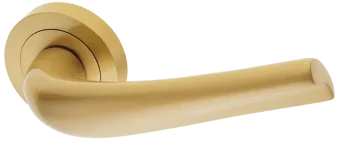 RAFT R2 OSA, ручка дверная, цвет - матовое золото