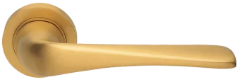LE MANS R2 OSA, ручка дверная, цвет - матовое золото