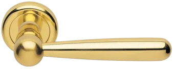 PINOKKIO R4 OTL, ручка дверная, цвет - золото