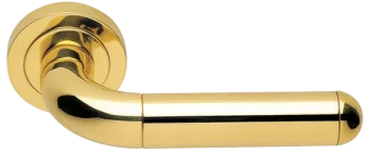 GAVANA R2 OTL, ручка дверная, цвет -  золото