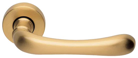 RING R3-E OSA, ручка дверная, цвет - матовое золото фото купить Махачкала