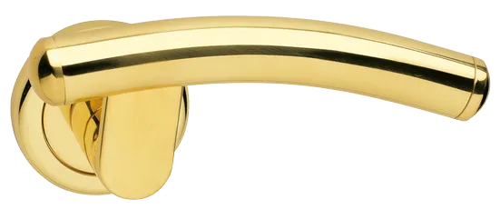 LUNA R4 OTL, ручка дверная, цвет - золото фото купить Махачкала