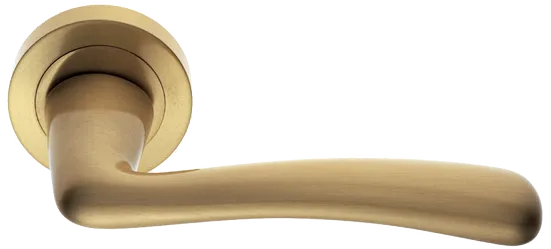 COCKATOO R2 OSA, ручка дверная, цвет - матовое золото фото купить Махачкала