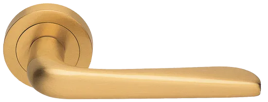 PETRA R2 OSA, ручка дверная, цвет - матовое золото фото купить Махачкала