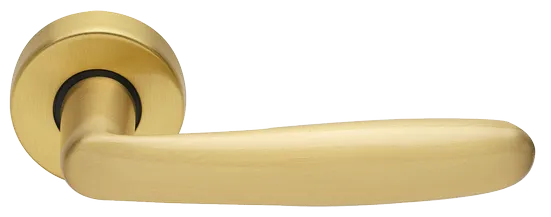 IMOLA R3-E OSA, ручка дверная, цвет - матовое золото фото купить Махачкала