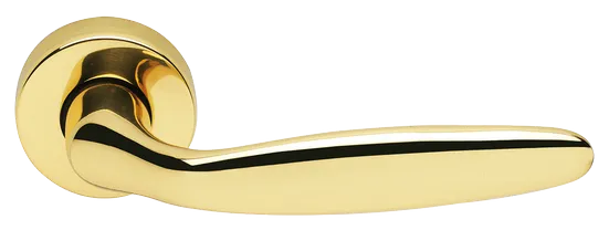DERBY R3-E OTL, ручка дверная, цвет - золото фото купить Махачкала