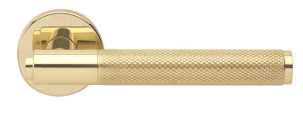 BRIDGE R6 OTL, ручка дверная с усиленной розеткой, цвет -  золото