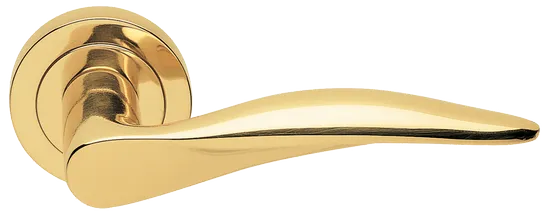 DALI R2 OTL, ручка дверная, цвет -  золото фото купить Махачкала